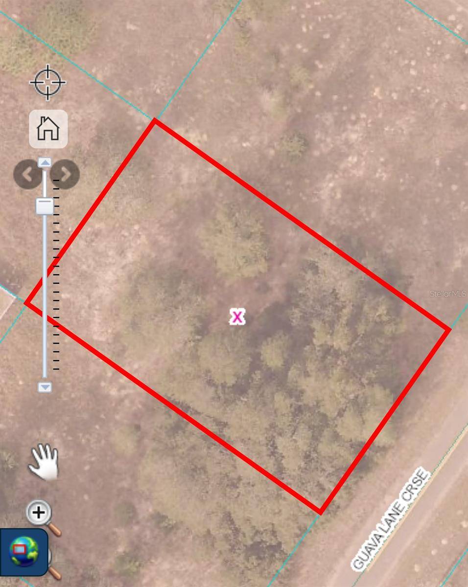Ocklawaha, FL 32179,GUAVA LANE CROSS