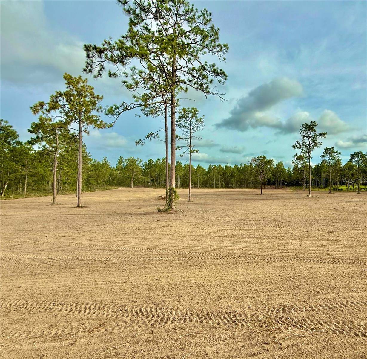 TBD SE 60TH ST, Morriston, FL 32668