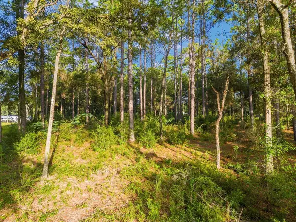 Ocala, FL 34482,00 NW 117 CT