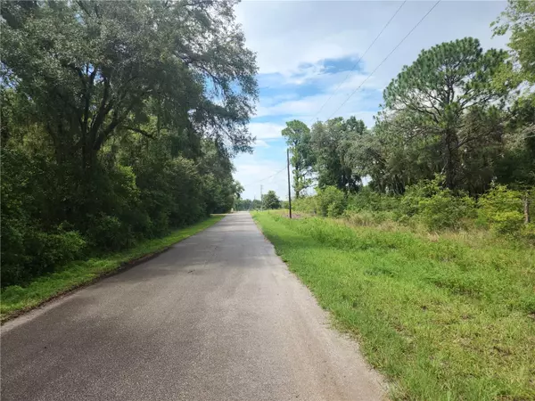 Dunnellon, FL 34431,Lot 9 SW IVY PL