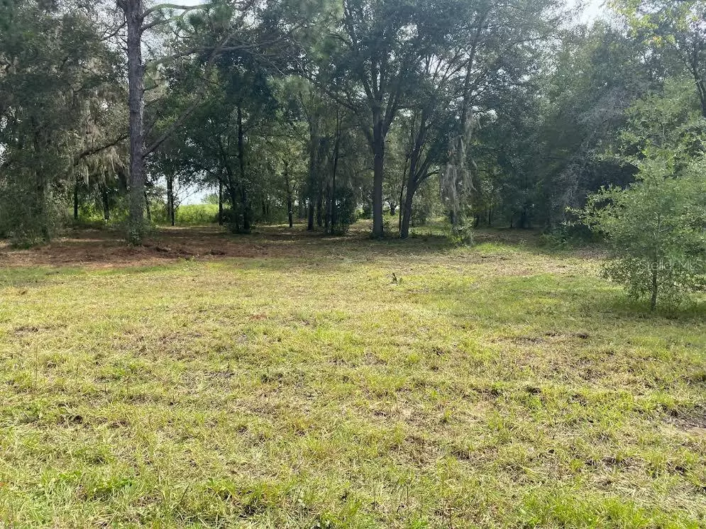 Dunnellon, FL 34431,Lot 9 SW IVY PL