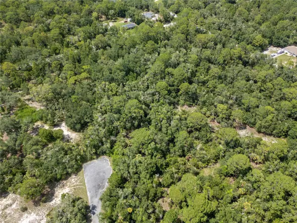 Crystal River, FL 34428,9315 N CEREUS WAY