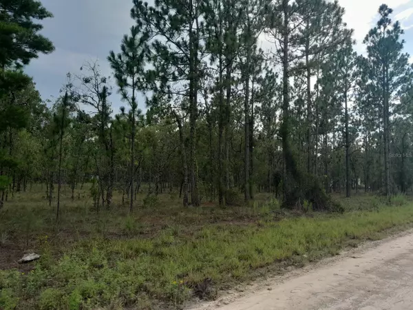 Williston, FL 32696,tbd SE 4TH ST