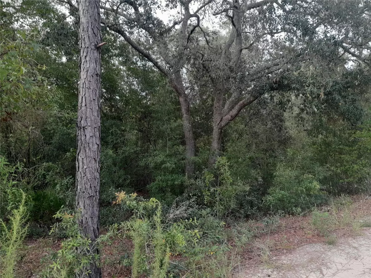 Bronson, FL 32621,tbd NE 87TH PL