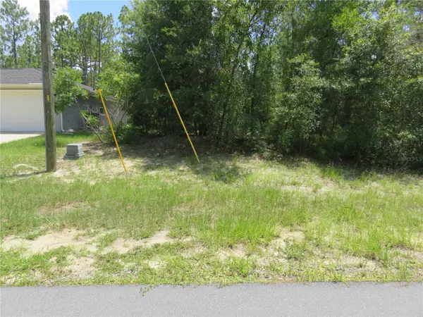Ocala, FL 34473,00 SW 132ND PL