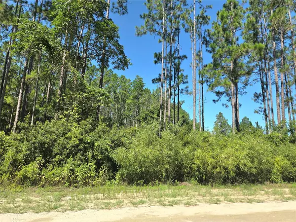 Fort Mc Coy, FL 32134,TBD NE 130TH COURT RD