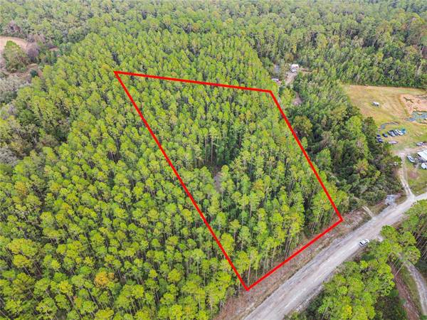 Fort Mc Coy, FL 32134,TBD NE 130TH COURT RD