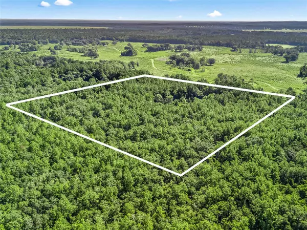 NW 150TH AVE RD, Micanopy, FL 32667