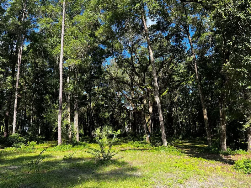 TBD LAKE VIEW DR W, Ocala, FL 34482