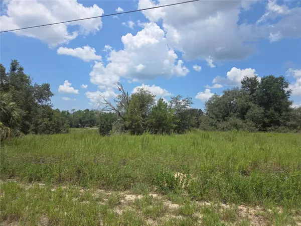 Dunnellon, FL 34431,Lot 14 SW VIOLA COURT