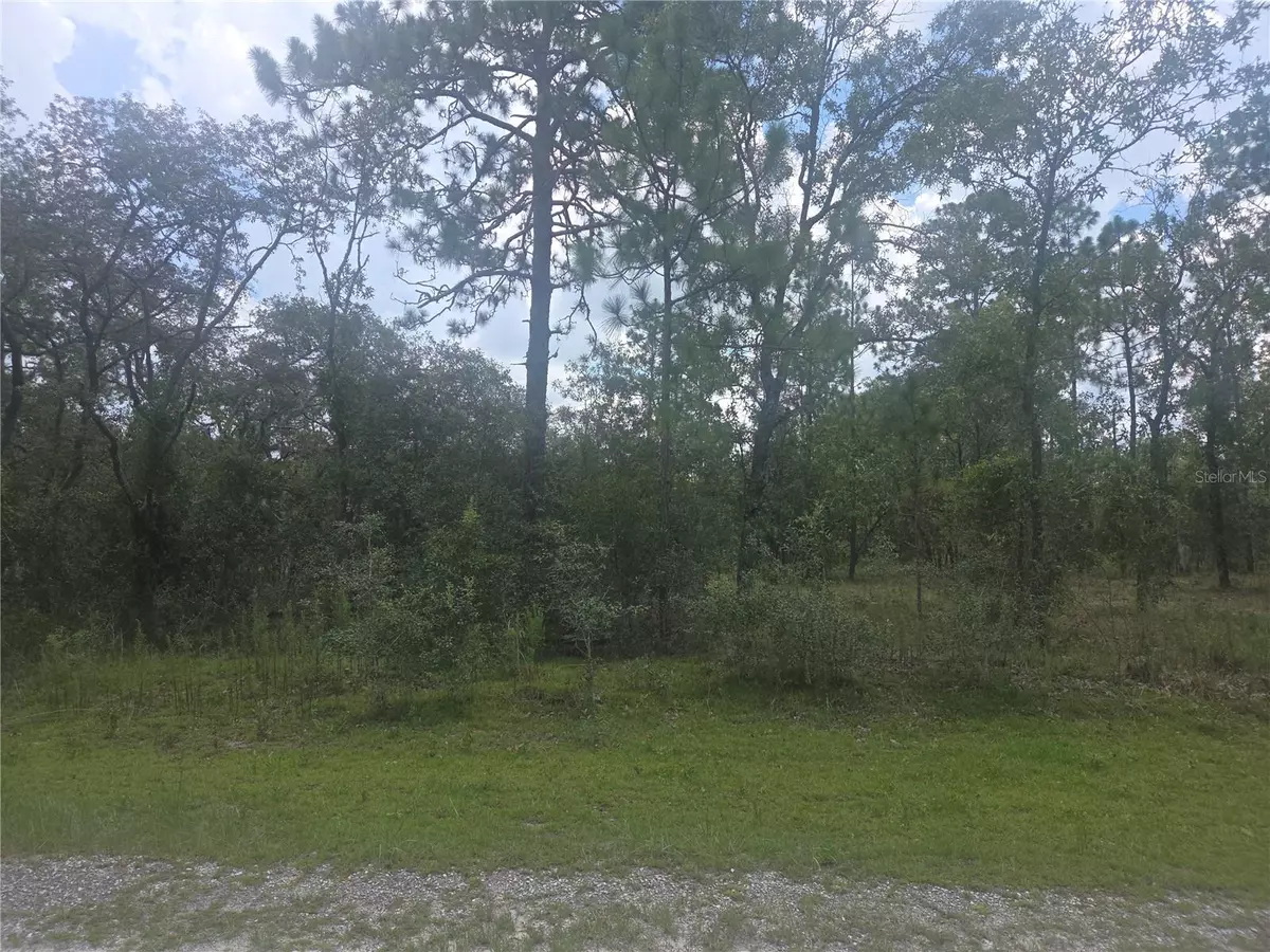 Dunnellon, FL 34431,Lot 3 SE 129 COURT