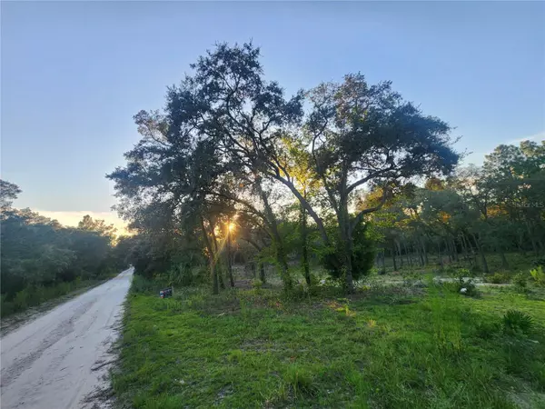 Bronson, FL 32621,TBD NE 82ND PL