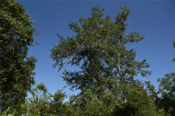 Inglis, FL 34449,OFF SE 30TH ST.