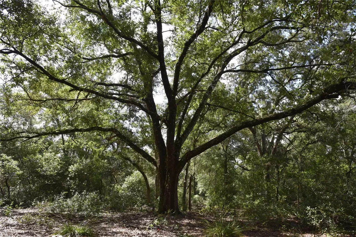 Inglis, FL 34449,OFF SE 30TH ST.
