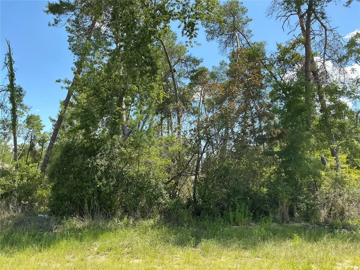 Ocala, FL 34473,SW 21ST TER