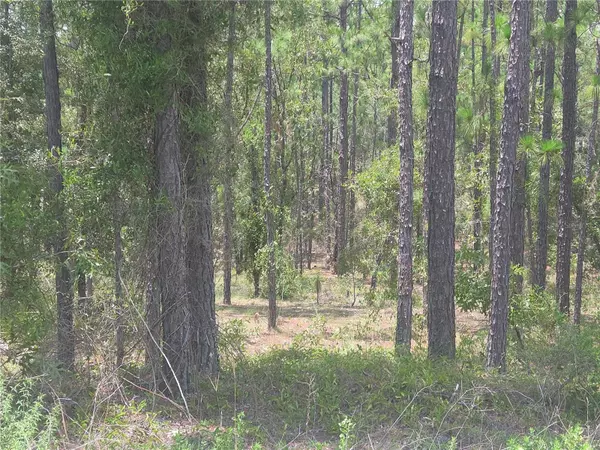 Dunnellon, FL 34431,Lot 34 SE 128 AVE