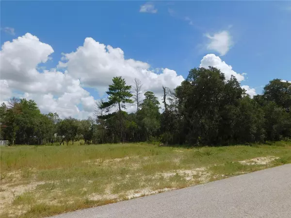 Ocala, FL 34476,TBD SW 100 ST