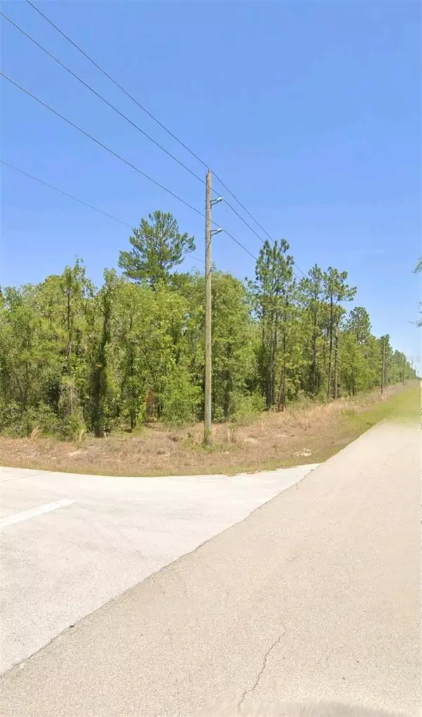 Dunnellon, FL 34431,LOT 18 NW BUENA VISTA RD