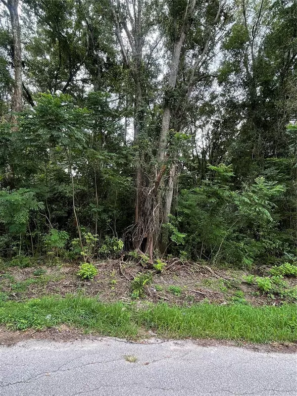 Summerfield, FL 34491,0 SE 135 PL