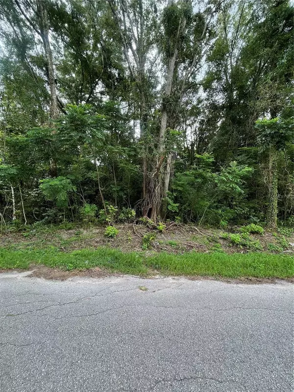 Summerfield, FL 34491,0 SE 135 PL