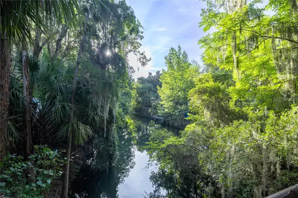 Salt Springs, FL 32134,TBD NE 303RD CT