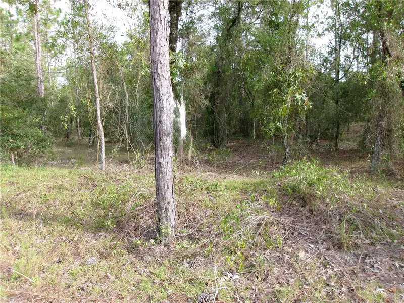 Lot 8 SW NAUTILUS BLVD, Dunnellon, FL 34431