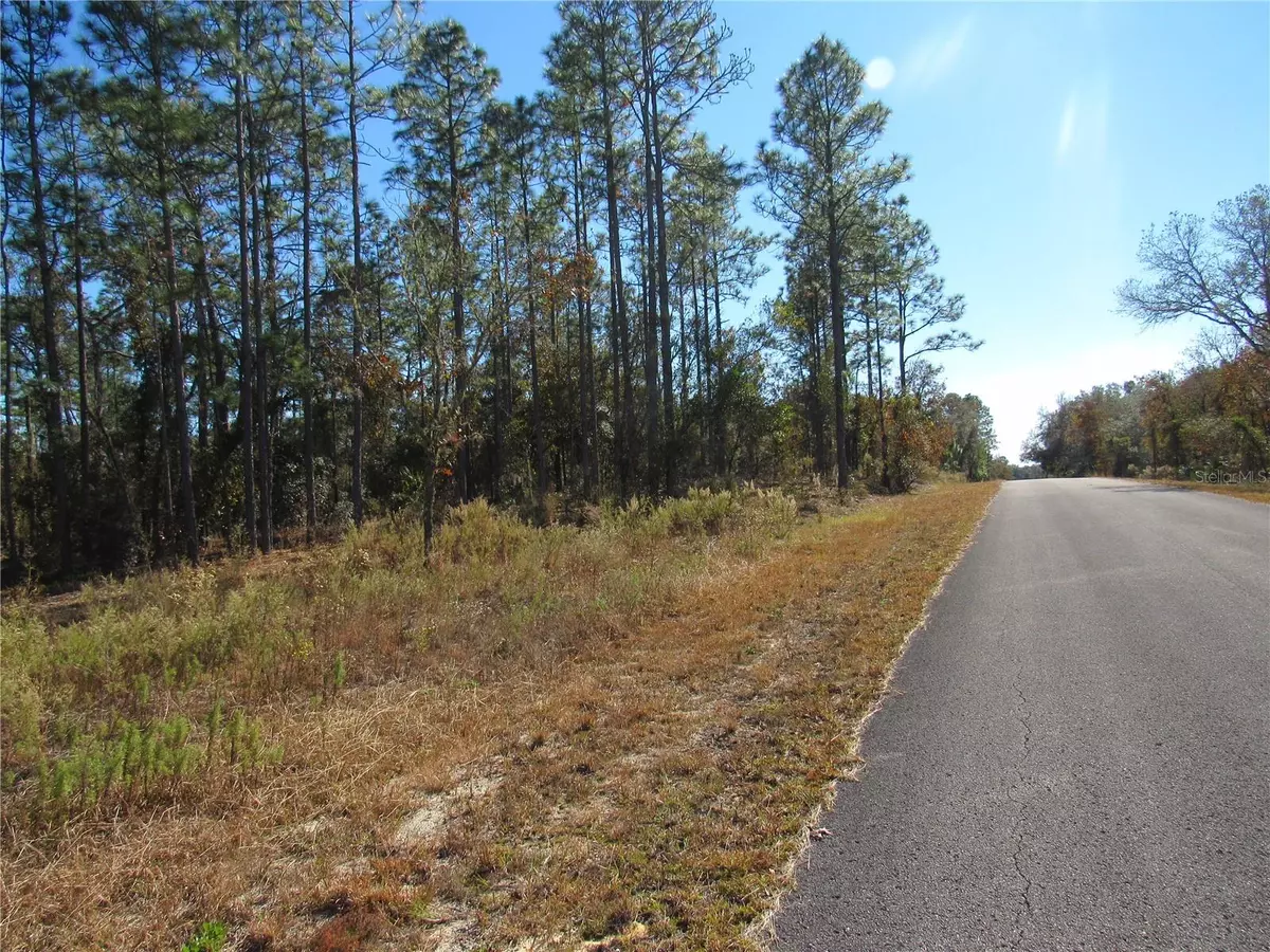 Dunnellon, FL 34431,0000 SW SANDS PT AVE LOT 32
