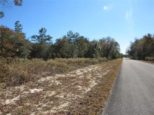 Dunnellon, FL 34431,0000 SW SANDS POINT AVE LOT 38