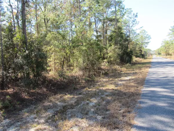 0000 SW BEAVER DR, Dunnellon, FL 34431