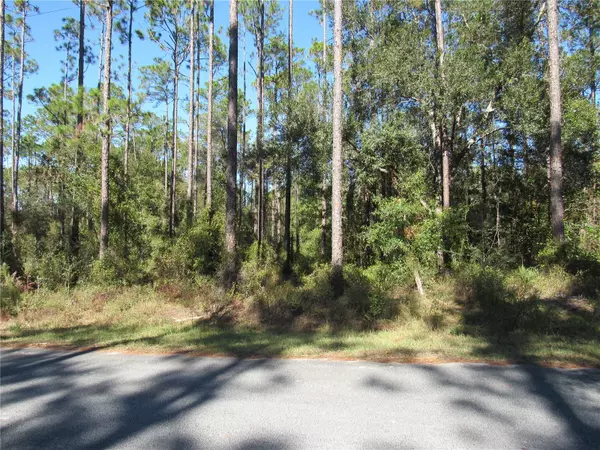 Dunnellon, FL 34431,0000 SW NAUTILUS BLVD