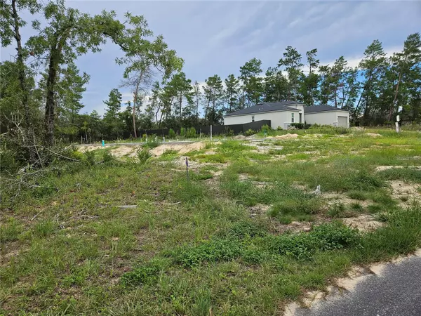 Ocala, FL 34473,0 SW 46 CIR
