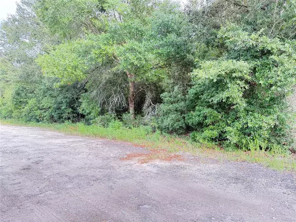 Dunnellon, FL 34432,0 SW 112TH STREET