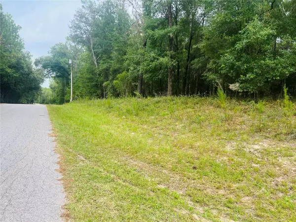 Dunnellon, FL 34432,0000 SW 185 AVENUE ROAD RD