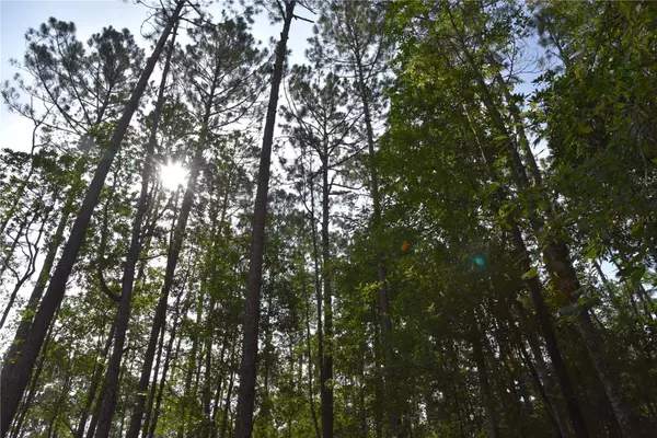4050 ALS SATCH RD, Middleburg, FL 32068