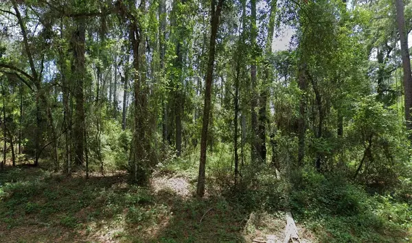 1032 VERCELLI LN, Citrus Springs, FL 34434