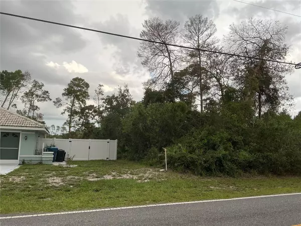 Weeki Wachee, FL 34613,10128 NODDY TERN RD