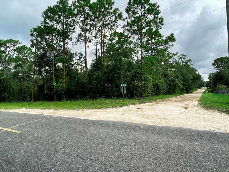 30TH ST, Morriston, FL 32668