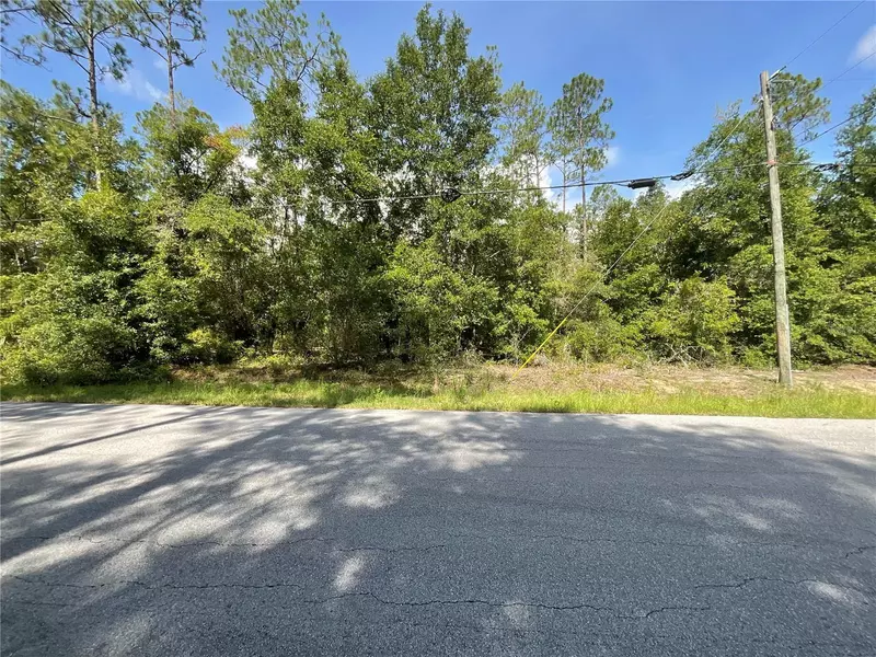 00 SW ADMIRAL LANDING DRIVE, Dunnellon, FL 34431