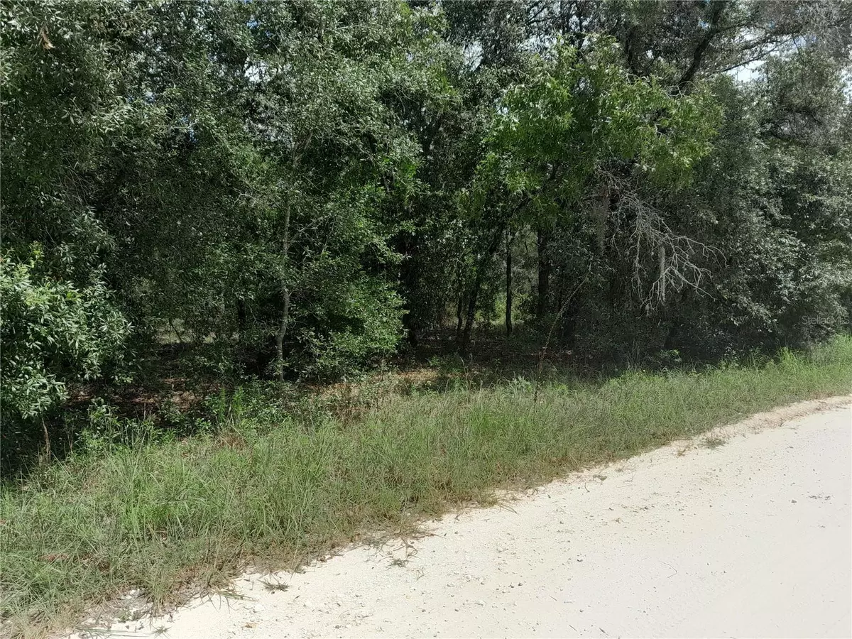Williston, FL 32696,91 SE 142ND TER