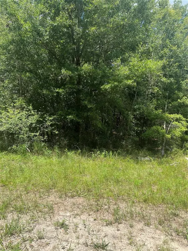 Summerfield, FL 34491,SE 42ND TERRACE