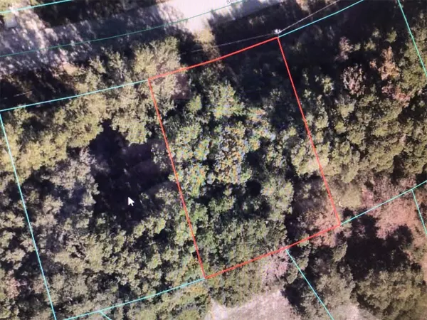 0 BAHIA PASS DR, Ocala, FL 34480