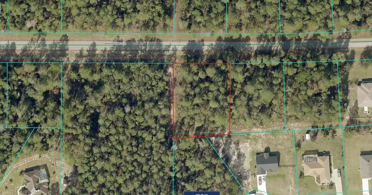 Ocala, FL 34473,TBD MARION OAKS LN