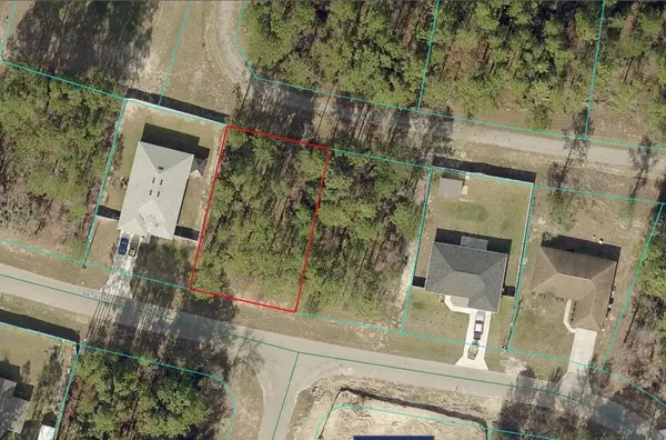 Ocala, FL 34473,TBD SW 135TH LOOP