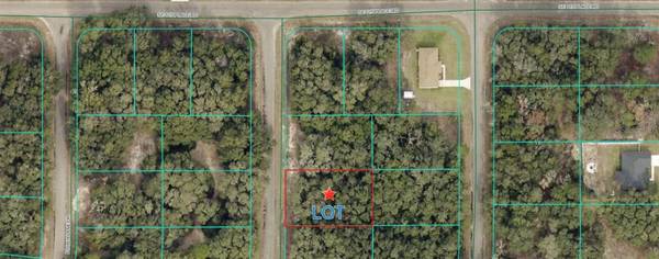 TBD FISHER LANE CT, Ocklawaha, FL 32179