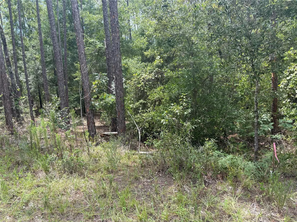 Dunnellon, FL 34431,00 SW 87TH LOOP