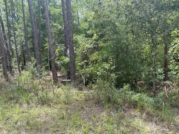 00 SW 87TH LOOP, Dunnellon, FL 34431