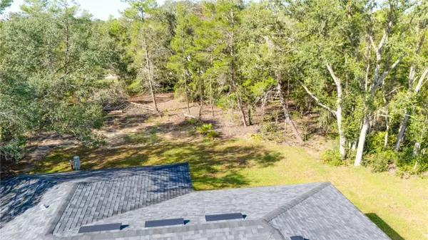 Ocklawaha, FL 32179,58 FISHER TRACE RUN