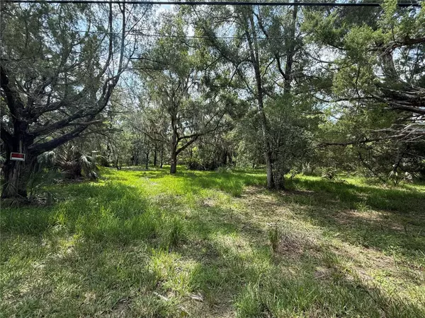 Homosassa, FL 34448,11990 W ELDRED LN