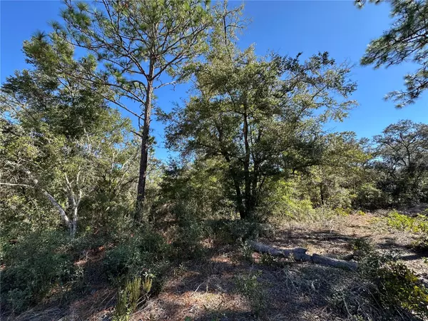 Bronson, FL 32621,TBD NE 86TH ST