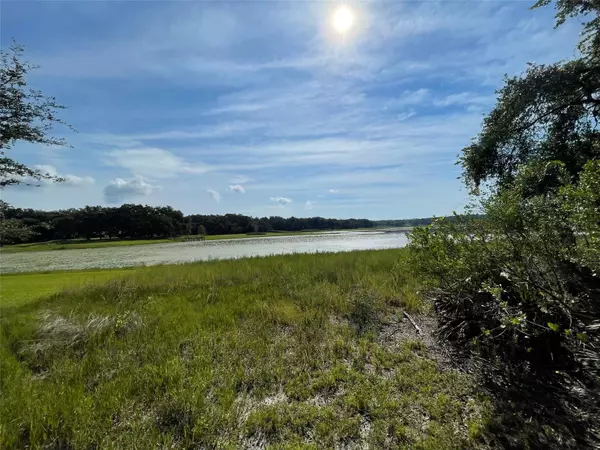 Dunnellon, FL 34431,LOTS 15 & 16 SW SHOREWOOD DR